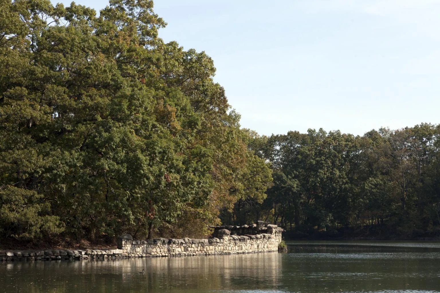 Trees and a curved stone wall beside the water at Greenwich Point Park.