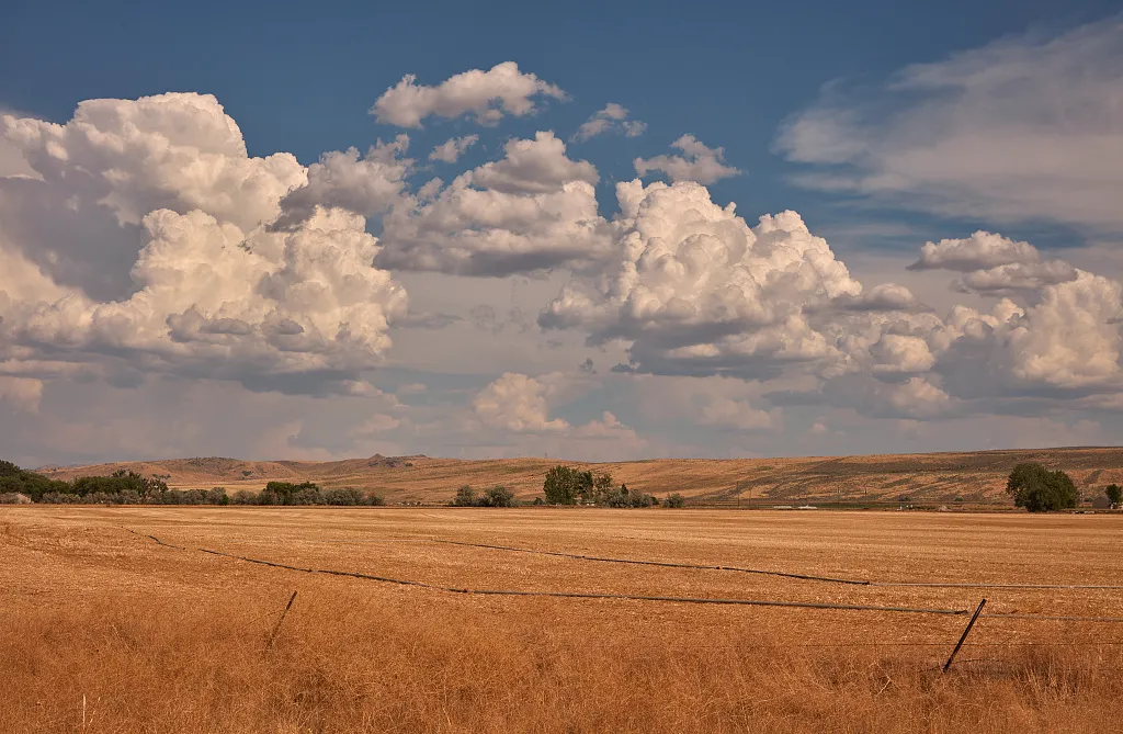 Golden fields and low hills near Pocatello beneath large clouds.